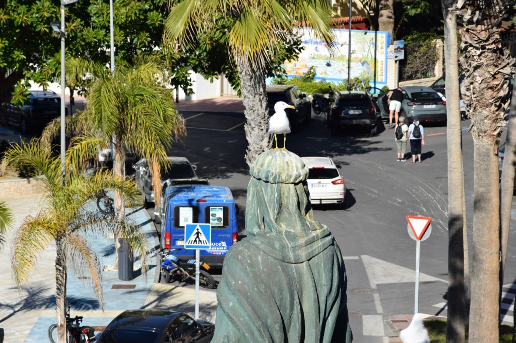Foto: Sin miramientos ni verguenza - Almuñecar (Granada), España
