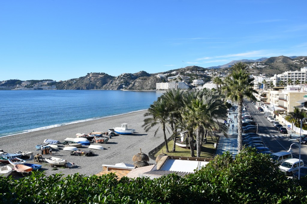 Foto: La traiña Yolanda en los jardines del Paseo de las Flores - Almuñecar (Granada), España