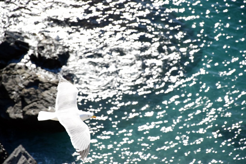 Foto de Almuñecar (Granada), España