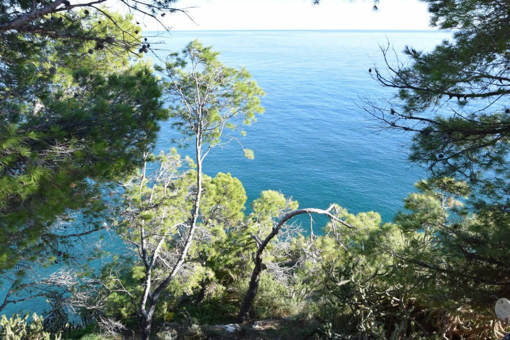 Foto de Almuñecar (Granada), España