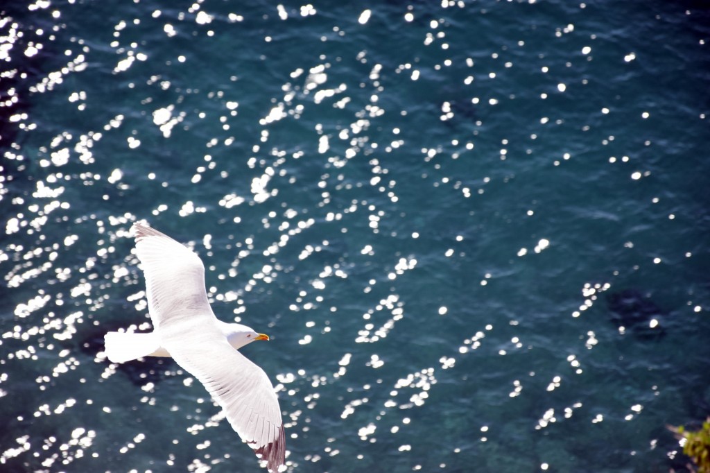 Foto de Almuñecar (Granada), España