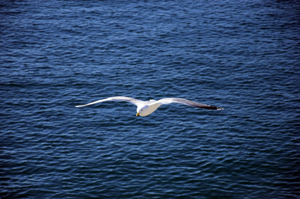 Foto de Almuñecar (Granada), España
