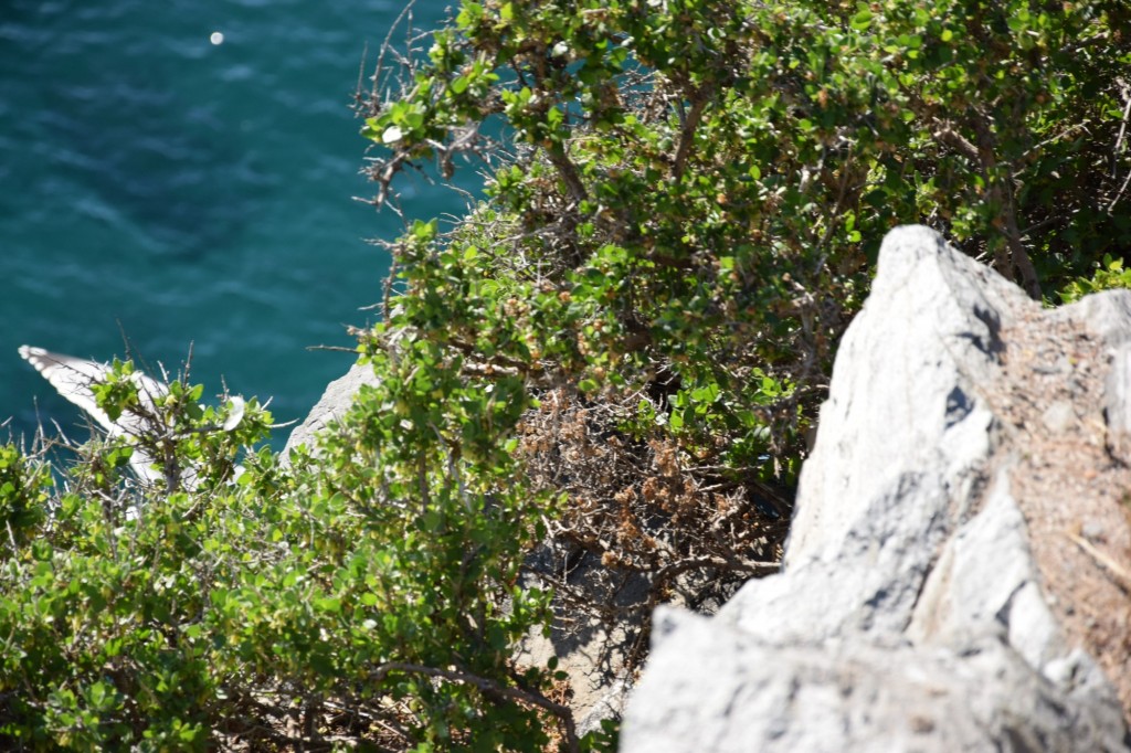 Foto de Almuñecar (Granada), España