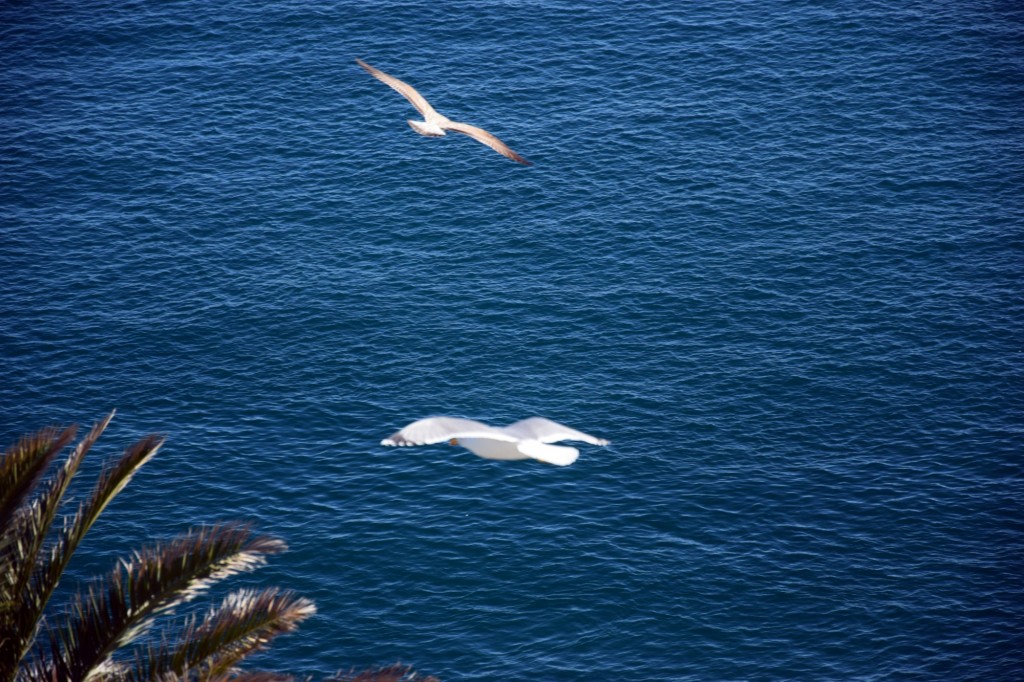 Foto de Almuñecar (Granada), España
