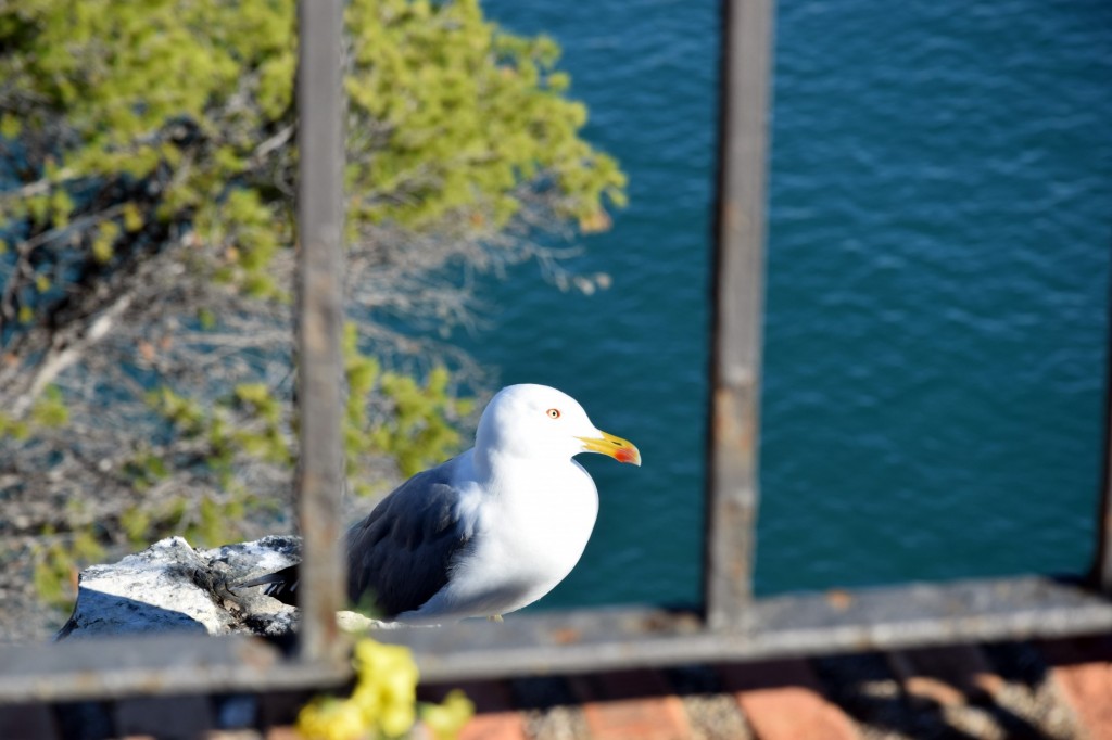 Foto de Almuñecar (Granada), España
