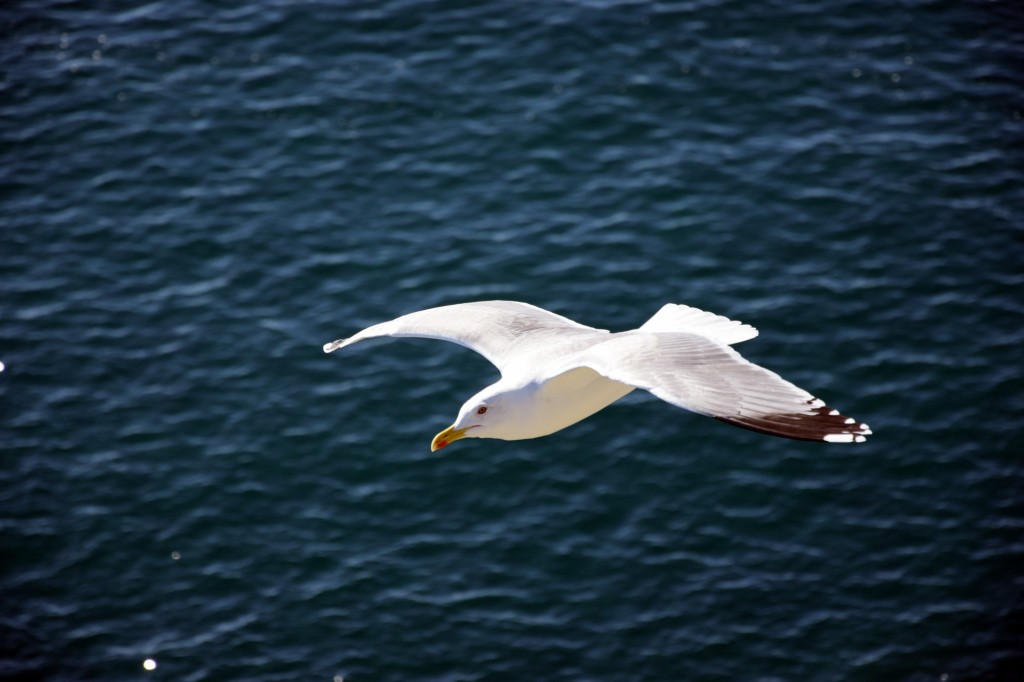 Foto de Almuñecar (Granada), España