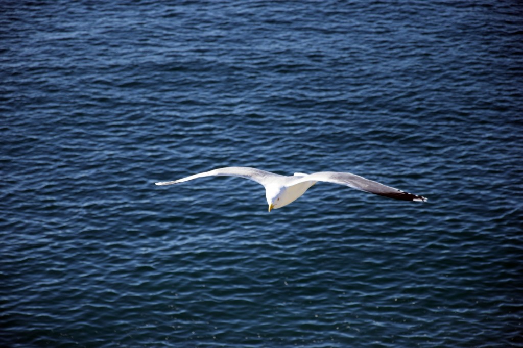 Foto de Almuñecar (Granada), España