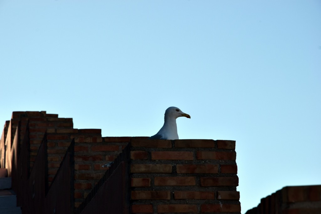 Foto de Almuñecar (Granada), España