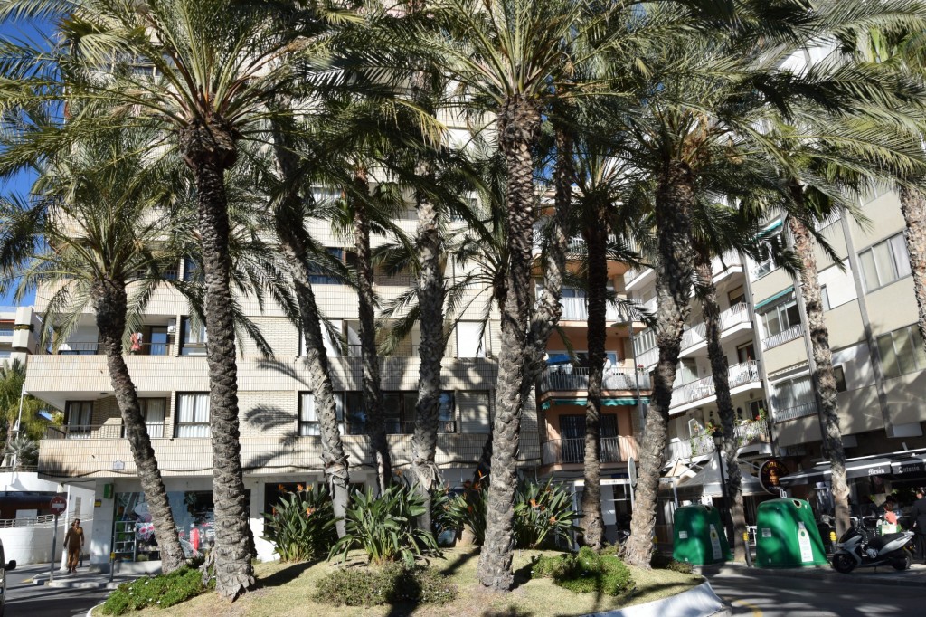 Foto: Mesón Antonio - Almuñecar (Granada), España