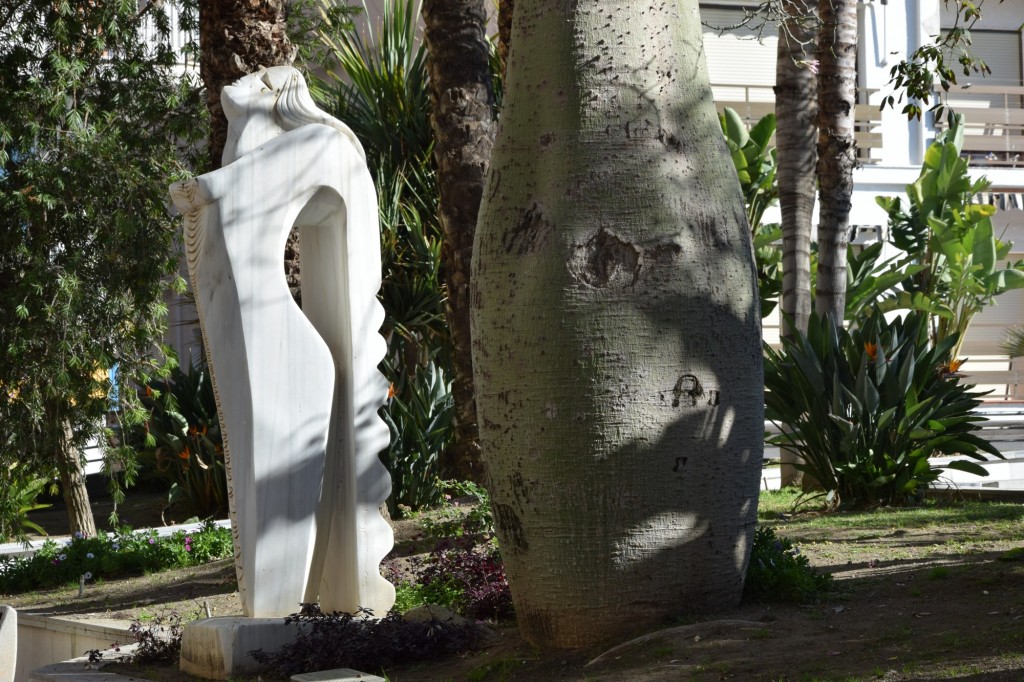 Foto: Junto al Baobab - Almuñecar (Granada), España