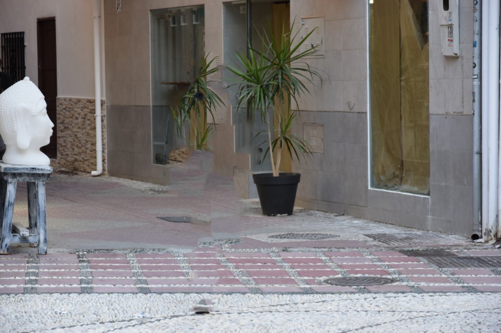 Foto: Busto - Almuñecar (Granada), España