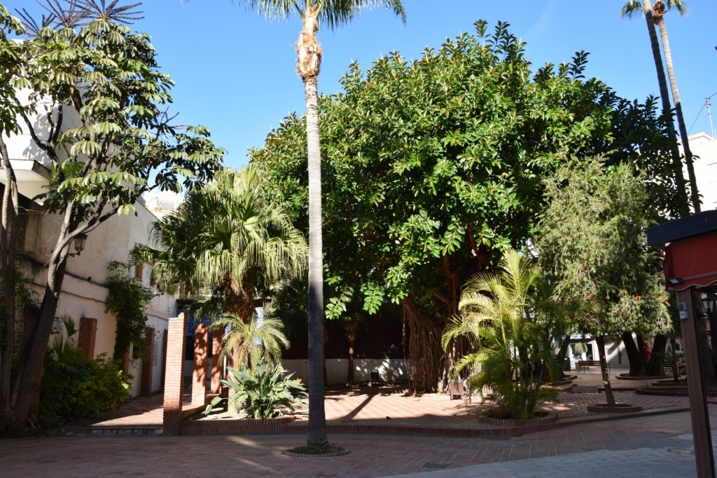 Foto: Plaza Antonio Gala - Almuñecar (Granada), España