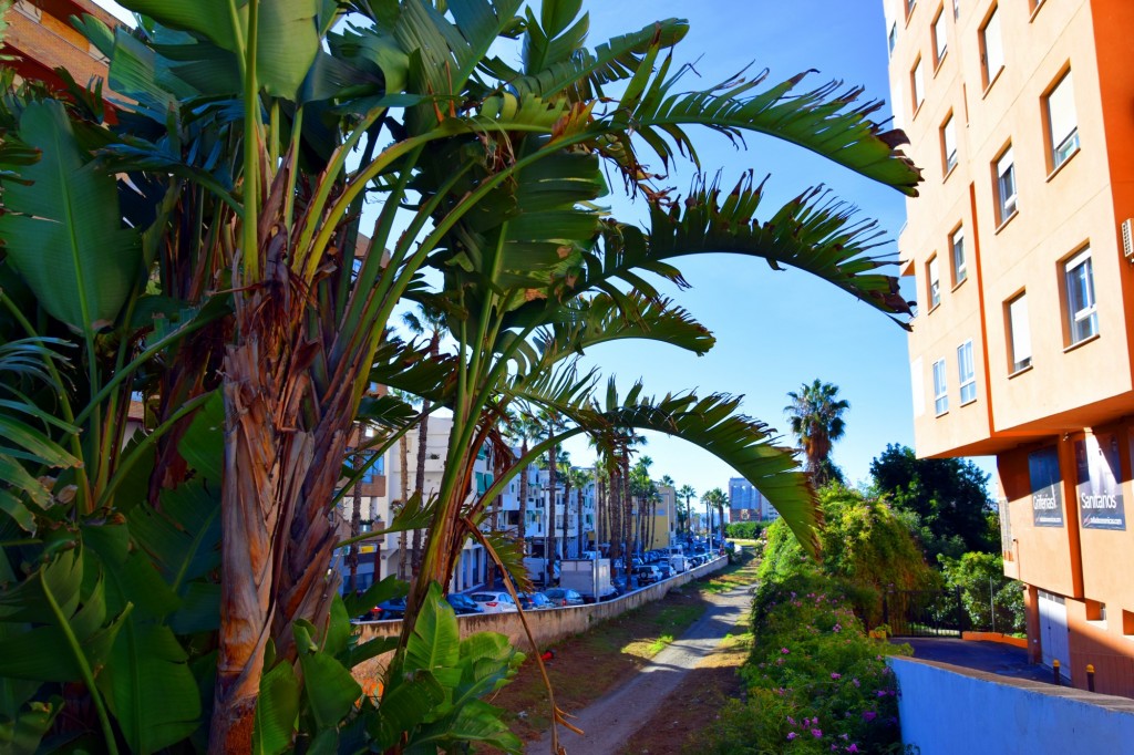 Foto: Río Seco - Almuñecar (Granada), España