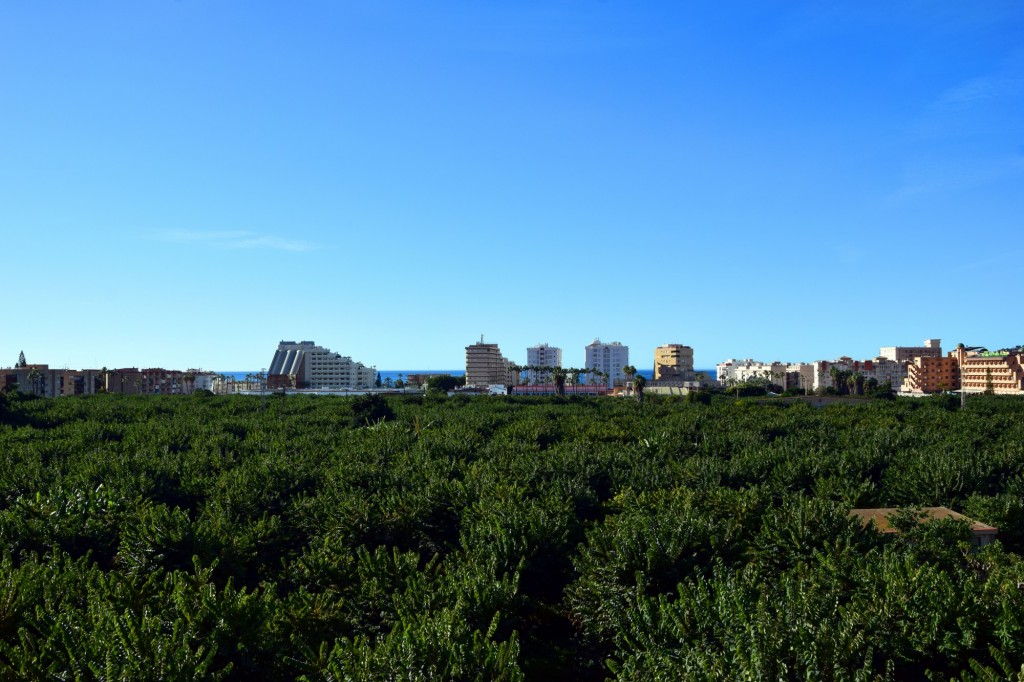 Foto de Almuñecar (Granada), España