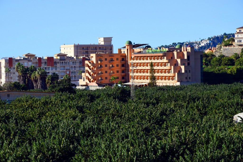 Foto: Hotel Victoria Playa - Almuñecar (Granada), España