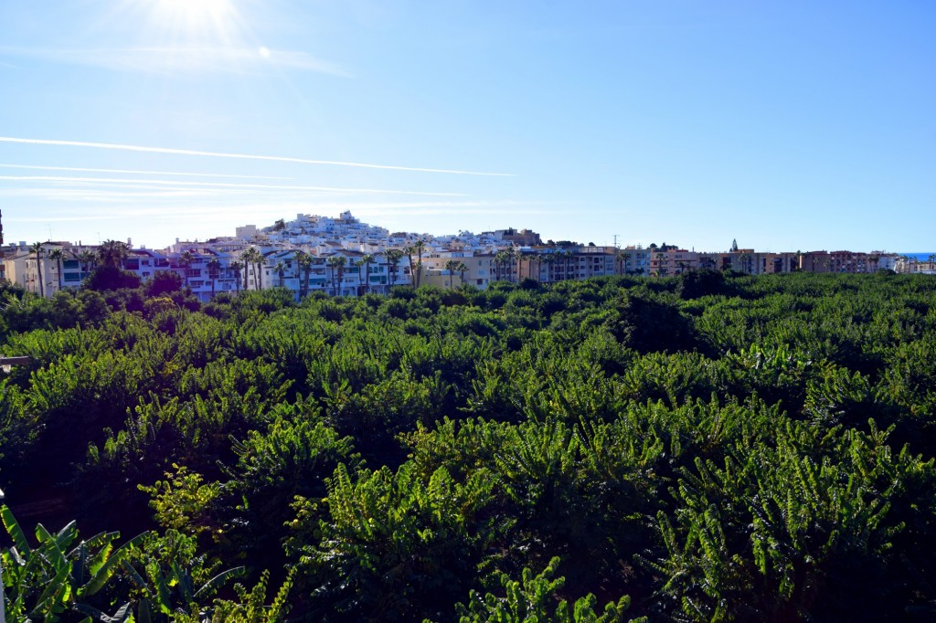 Foto de Almuñecar (Granada), España