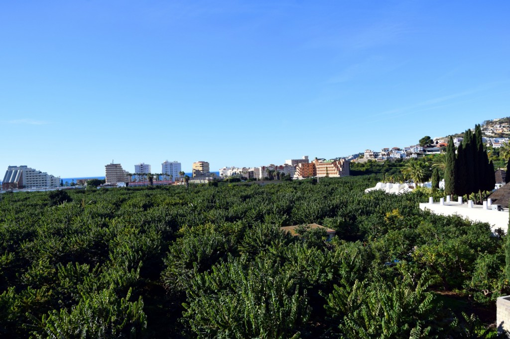 Foto de Almuñecar (Granada), España