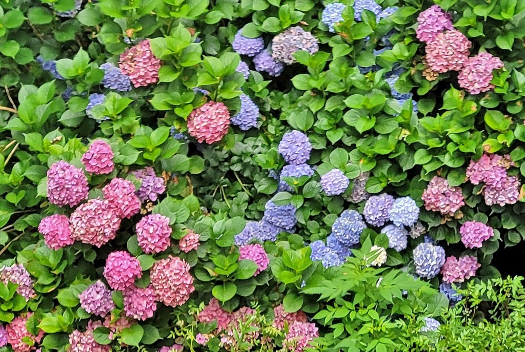 Foto: Pazo de O Faramello - O Faramello (A Coruña), España