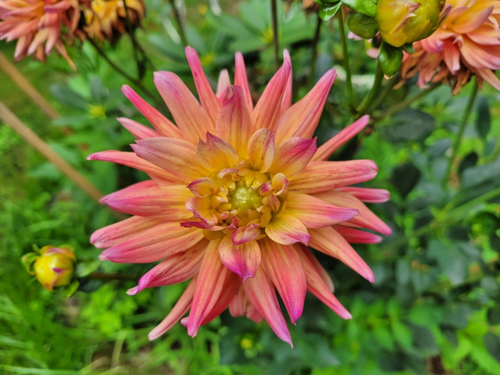 Foto: Pazo de O Faramello - O Faramello (A Coruña), España