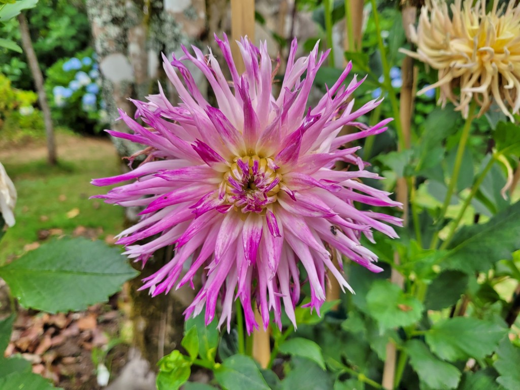 Foto: Pazo de O Faramello - O Faramello (A Coruña), España