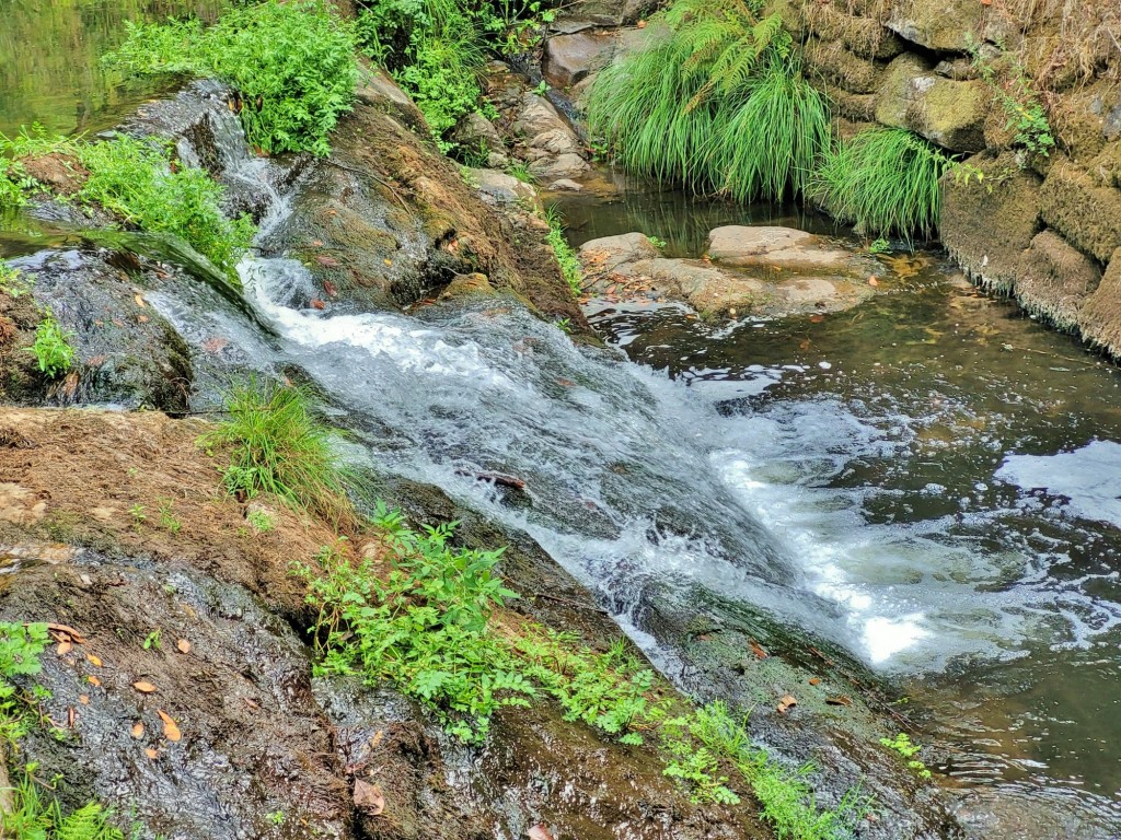 Foto: Pazo de O Faramello - O Faramello (A Coruña), España