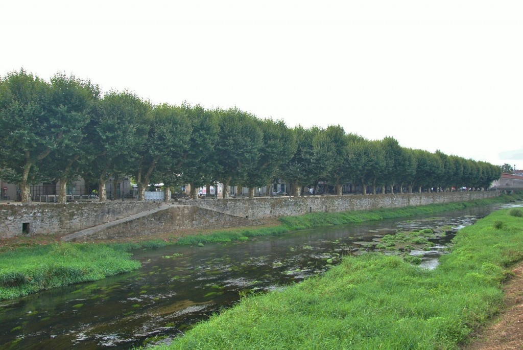 Foto: Río Ulla - Padrón (A Coruña), España
