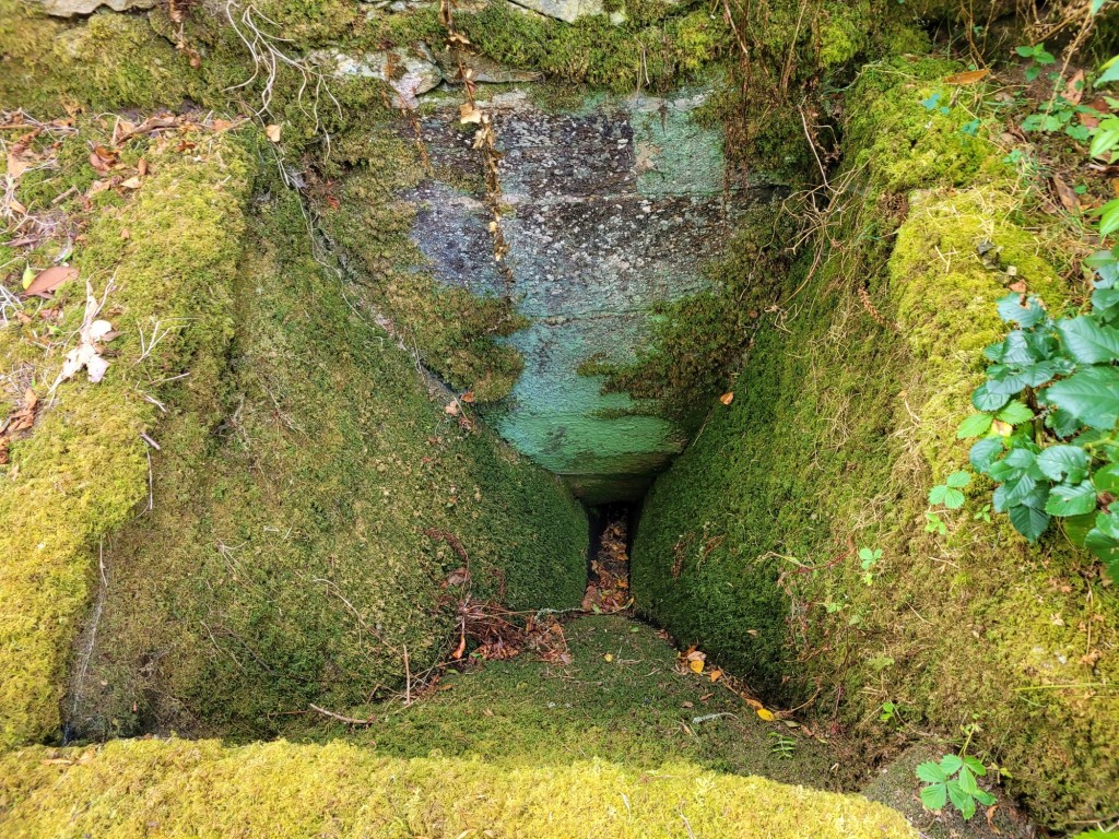 Foto: Pazo de O Faramello - O Faramello (A Coruña), España