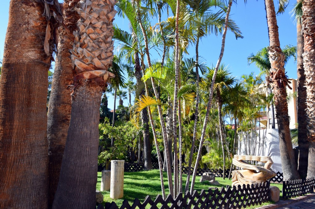 Foto de Almuñecar (Granada), España