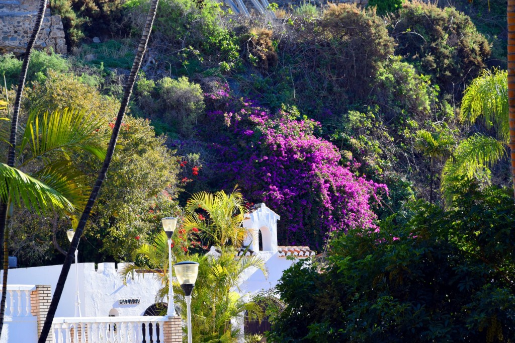 Foto de Almuñecar (Granada), España