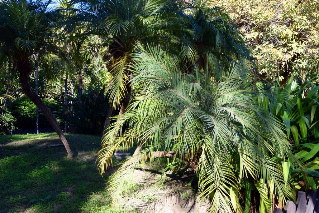 Foto de Almuñecar (Granada), España