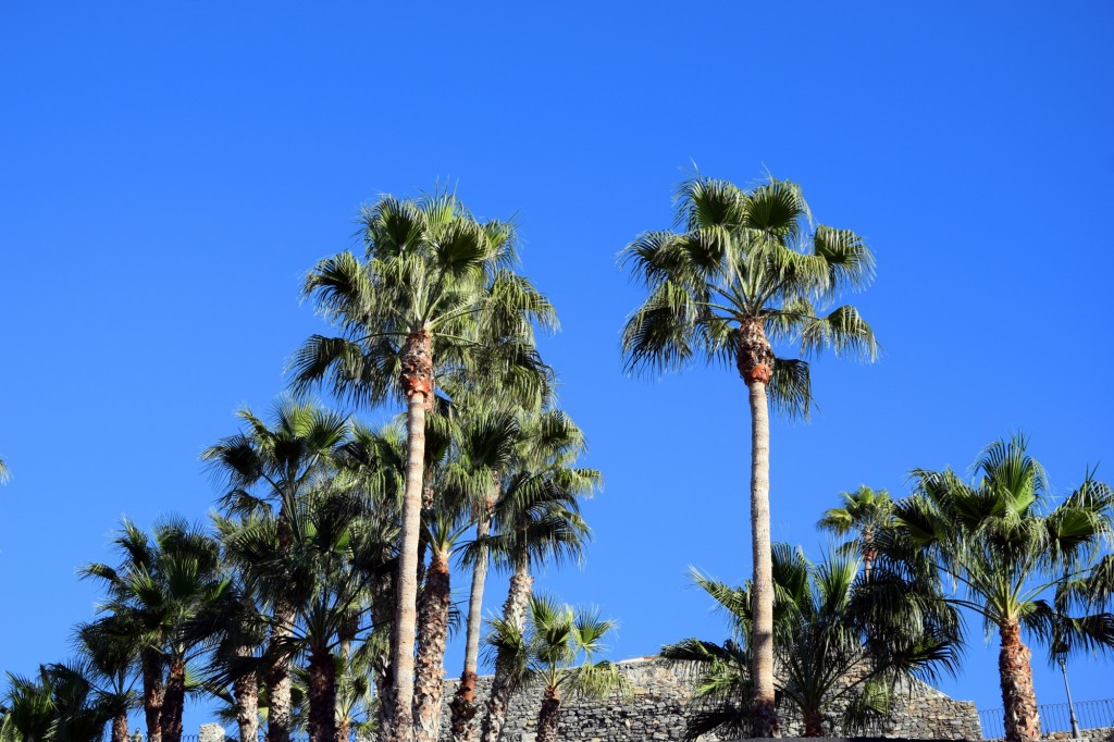 Foto de Almuñecar (Granada), España