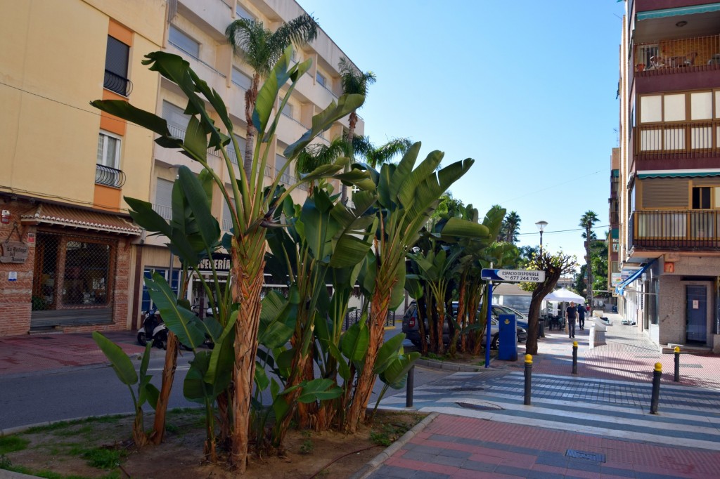 Foto de Almuñecar (Granada), España