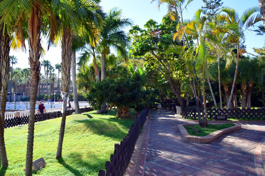 Foto de Almuñecar (Granada), España