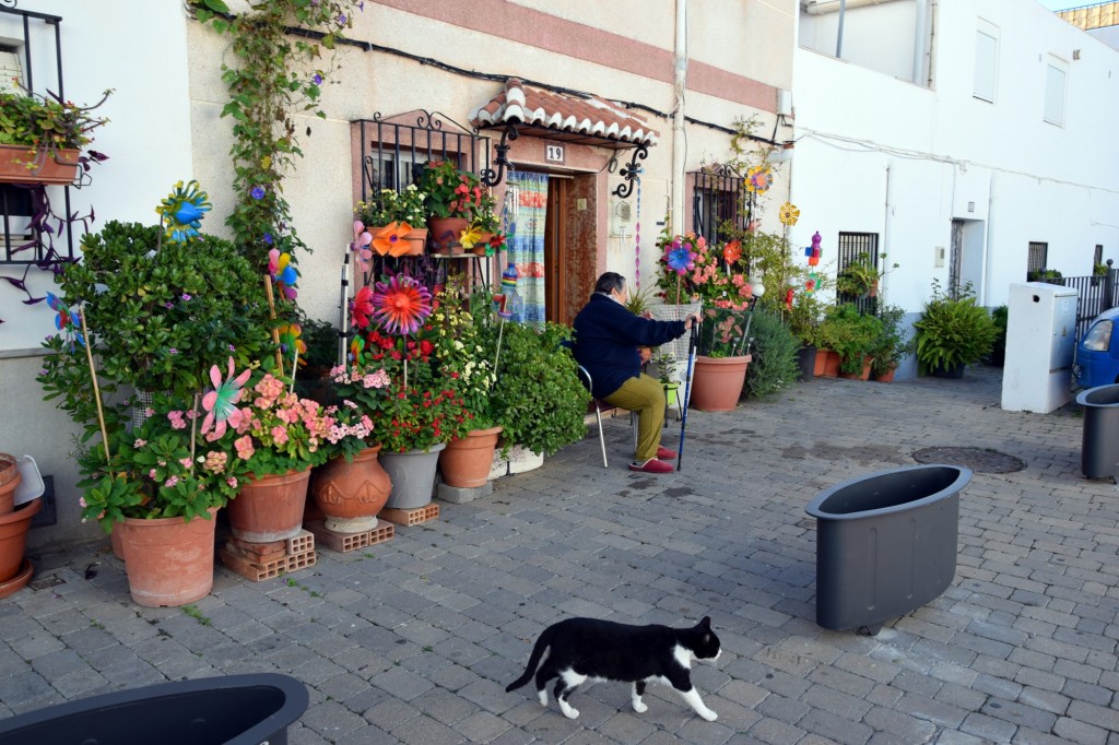 Foto de Almuñecar (Granada), España