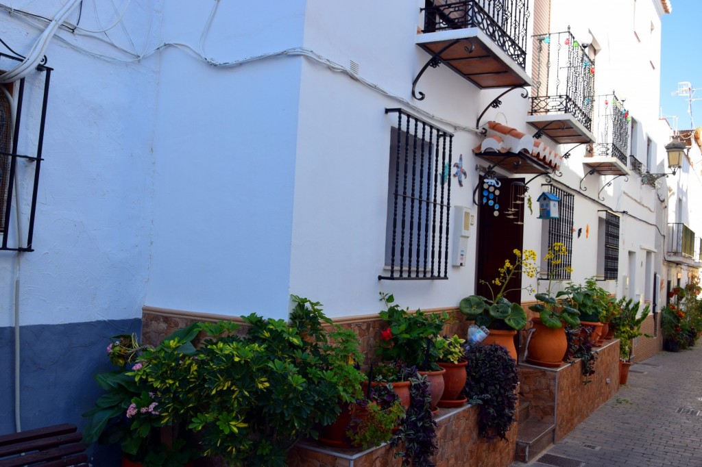 Foto: Las macetas de la Abuela Paca - Almuñecar (Granada), España