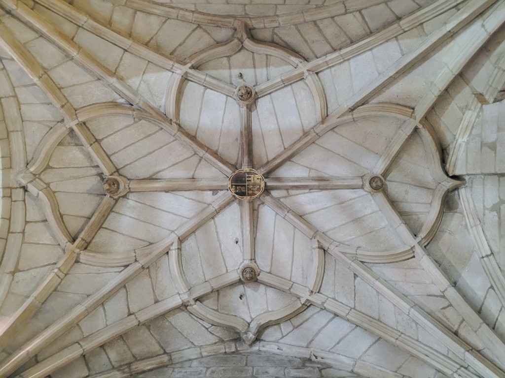 Foto: Catedral - Tui (Pontevedra), España