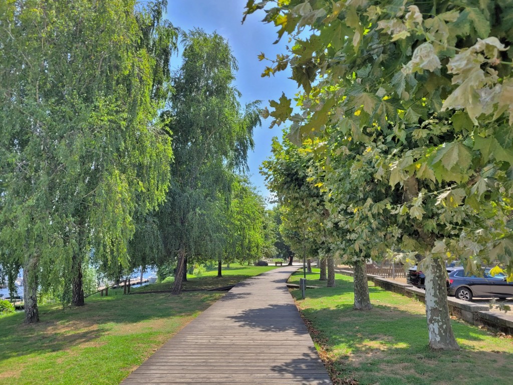 Foto: Paseo fluvial - Tui (Pontevedra), España