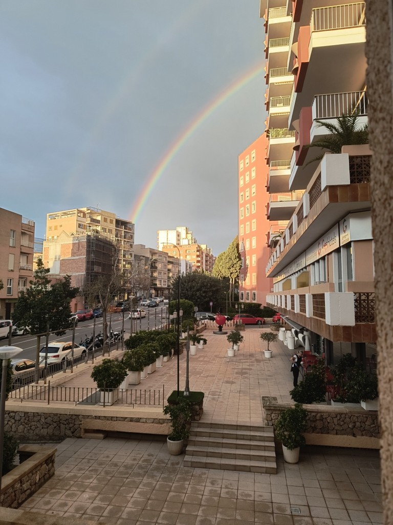 Foto: abrir la ventana - Palma (Illes Balears), España
