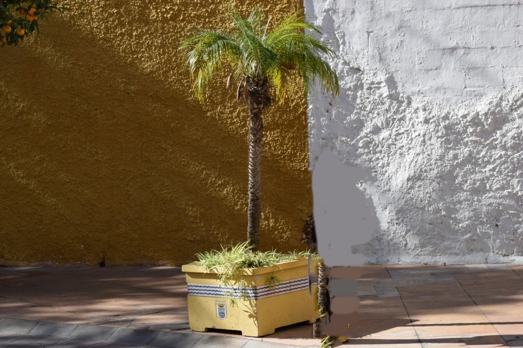 Foto de Almuñecar (Granada), España