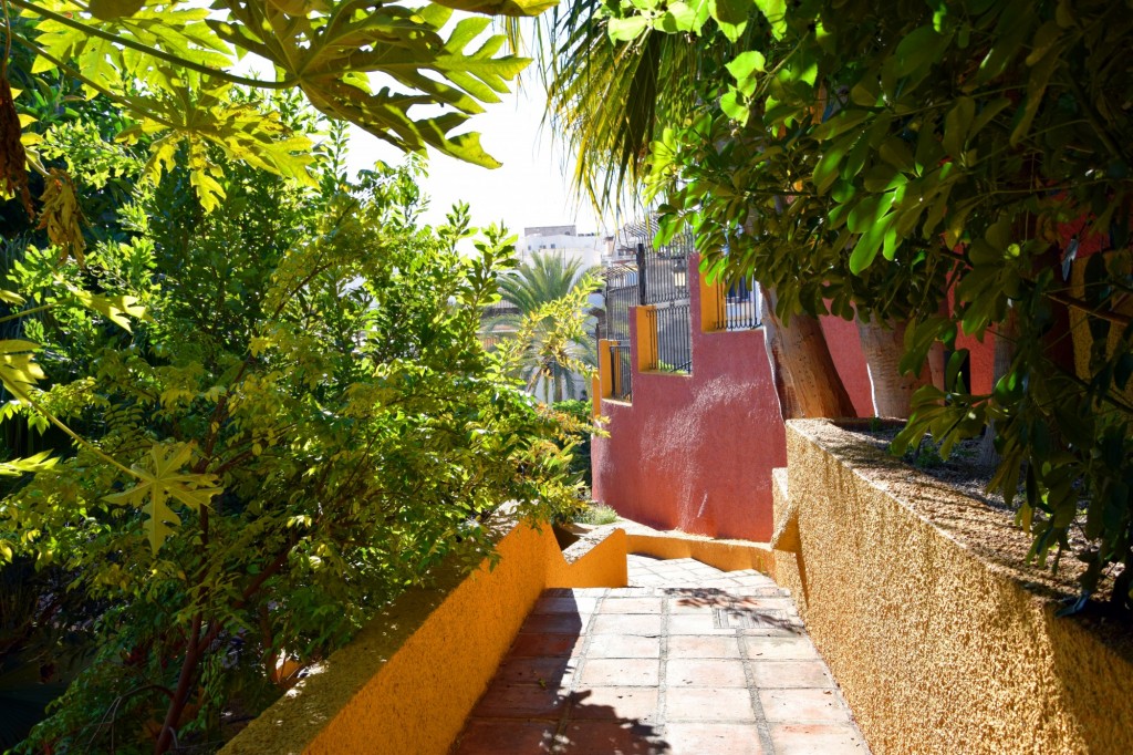 Foto de Almuñecar (Granada), España