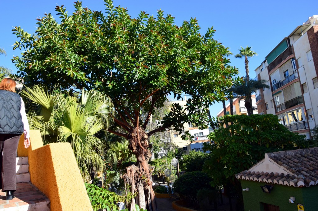 Foto de Almuñecar (Granada), España