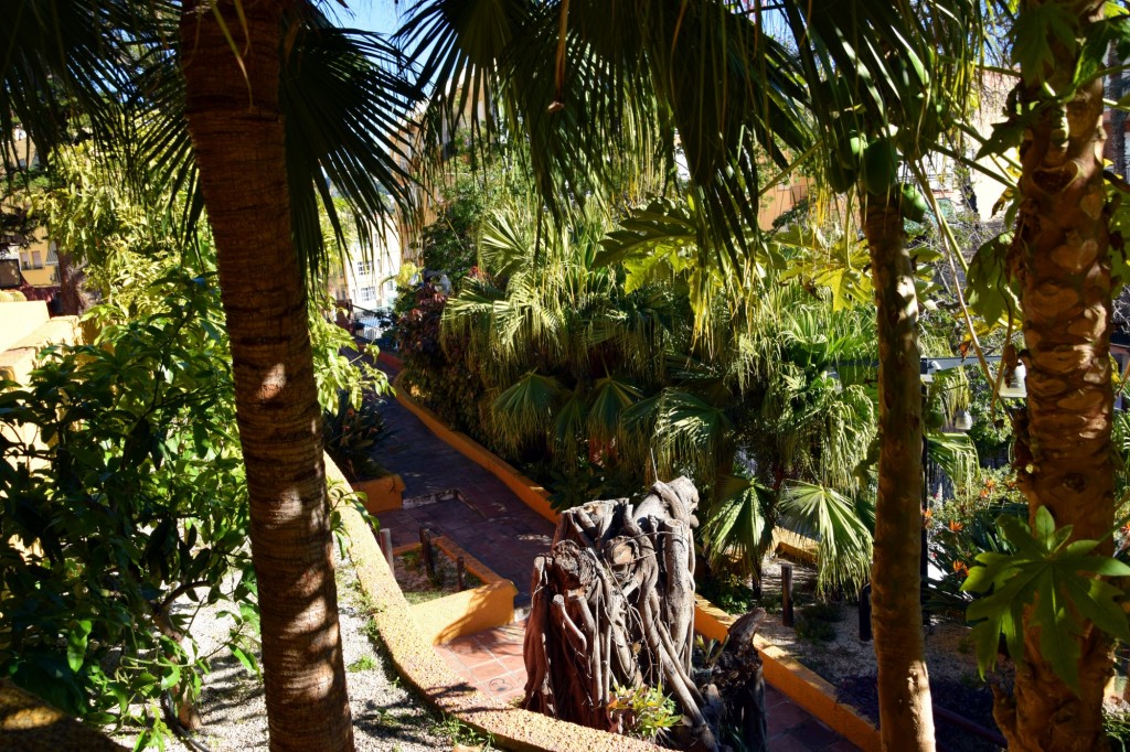 Foto de Almuñecar (Granada), España