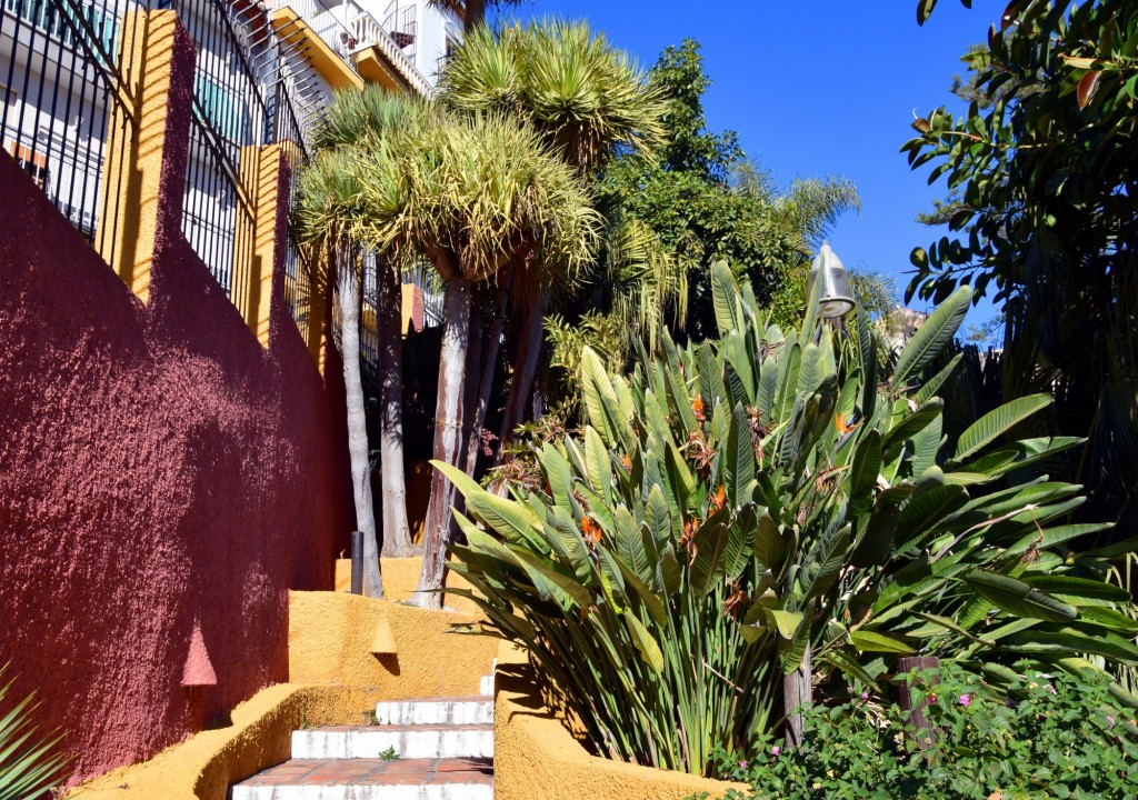 Foto de Almuñecar (Granada), España