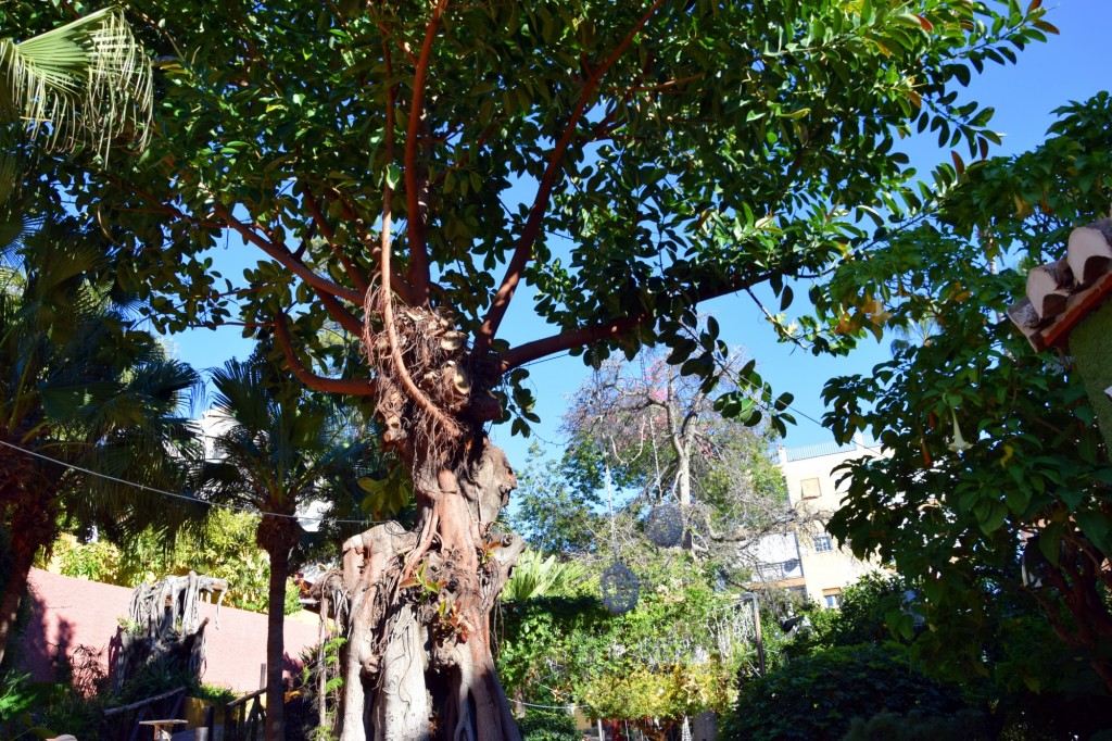 Foto de Almuñecar (Granada), España