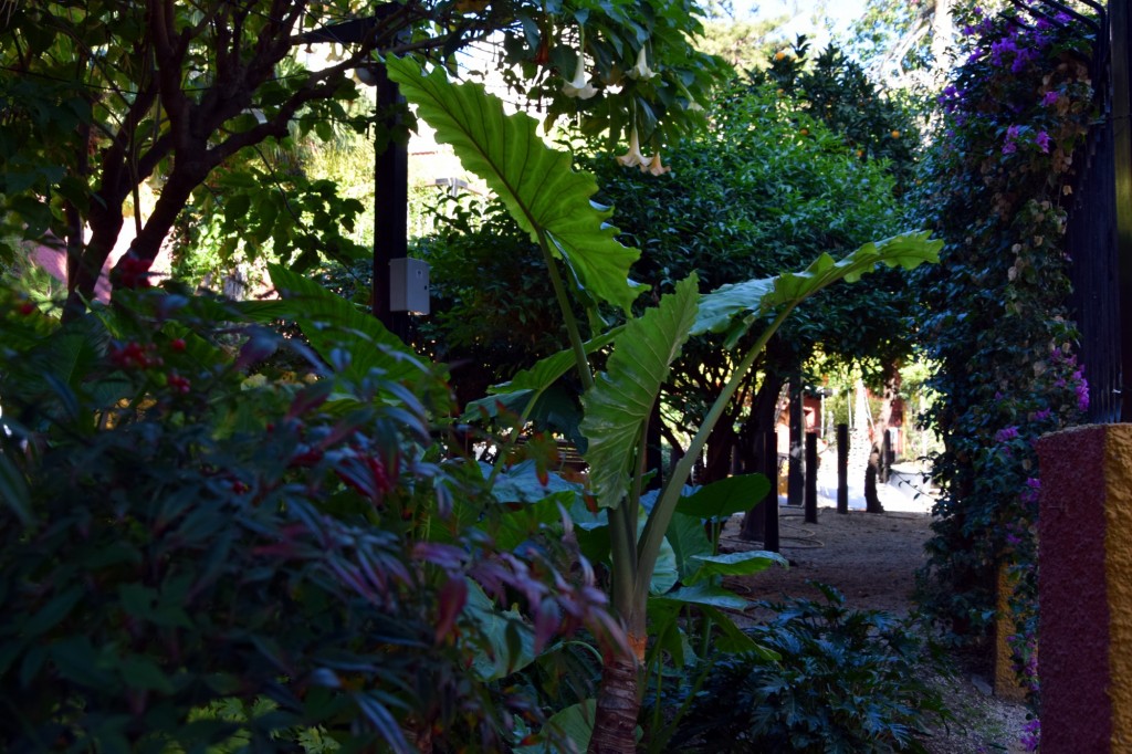 Foto de Almuñecar (Granada), España