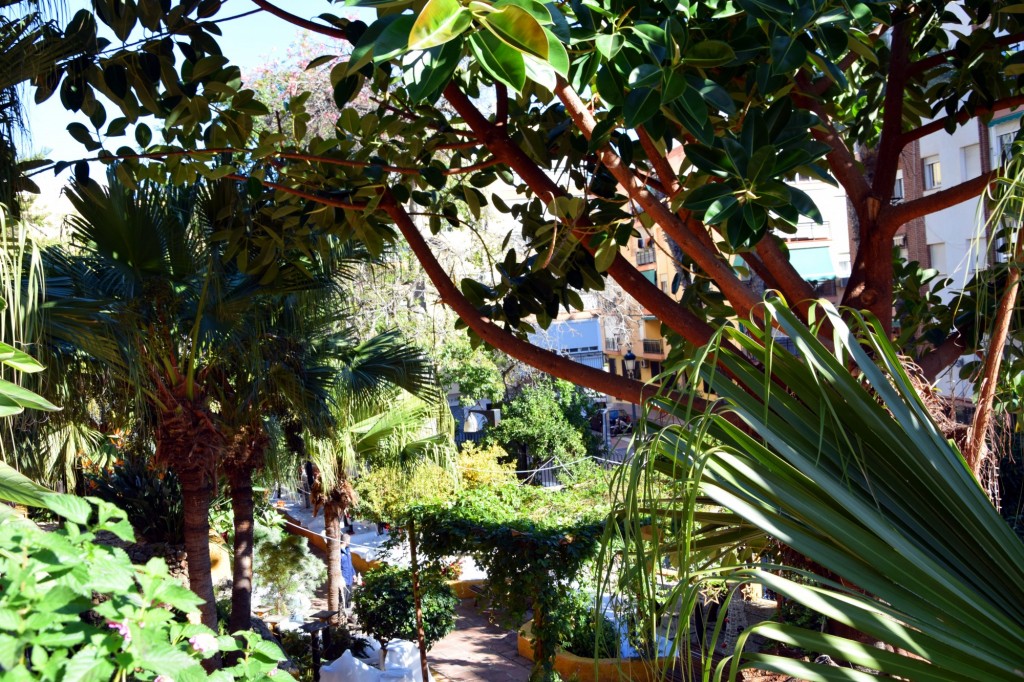 Foto de Almuñecar (Granada), España