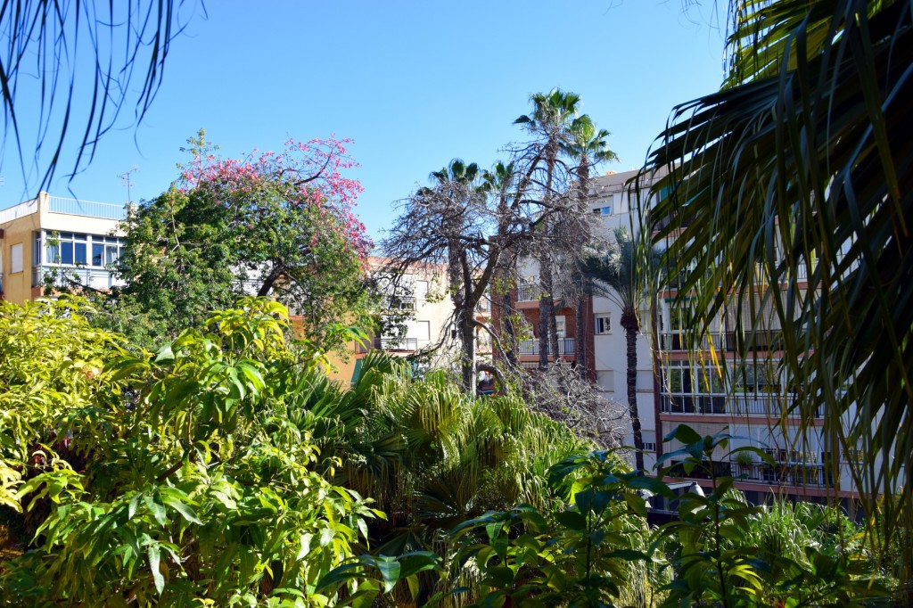 Foto de Almuñecar (Granada), España