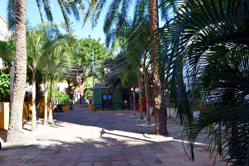 Foto de Almuñecar (Granada), España