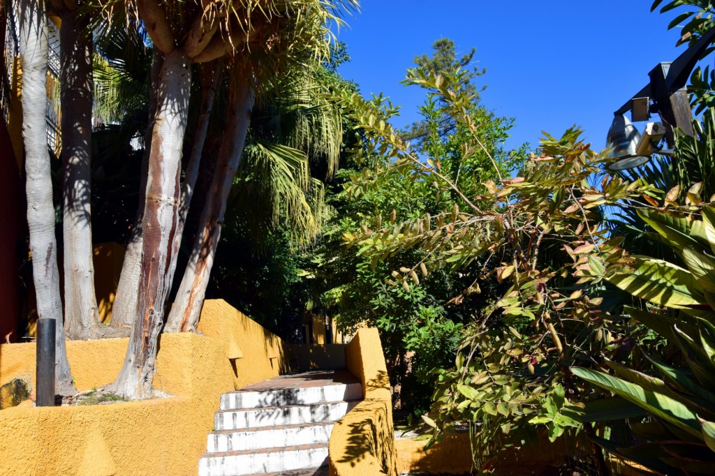 Foto de Almuñecar (Granada), España