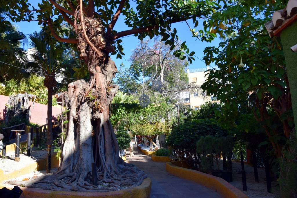 Foto de Almuñecar (Granada), España